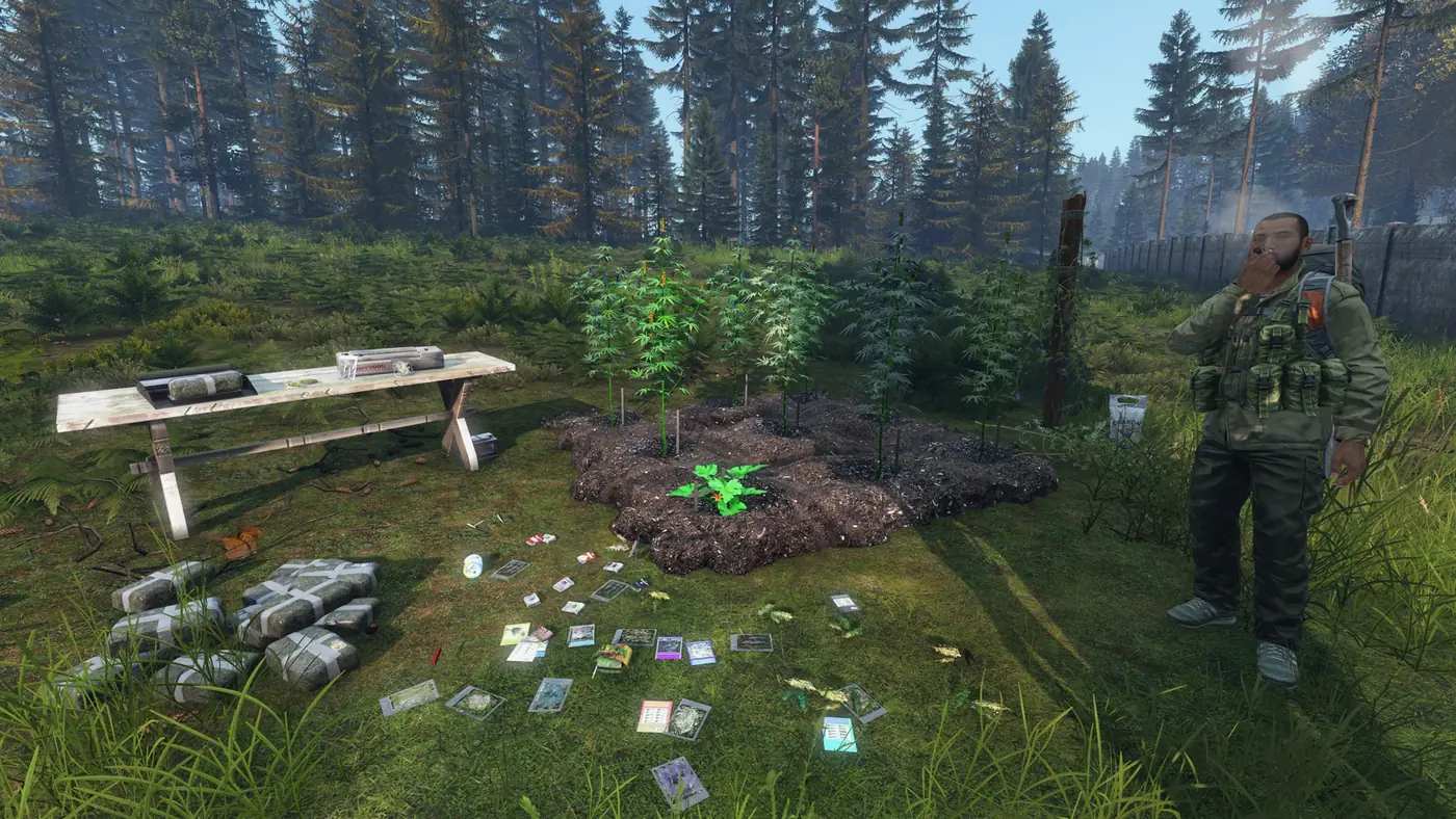 A player-run cannabis grow with drying table, packed bricks, and collectible cards on Is Dead
